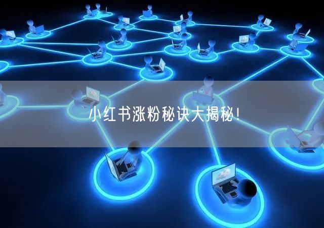 小红书涨粉秘诀大揭秘!