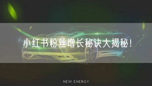 小红书粉丝增长秘诀大揭秘!
