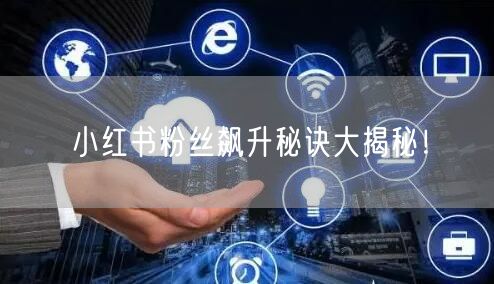 小红书粉丝飙升秘诀大揭秘!