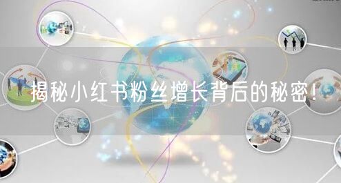 揭秘小红书粉丝增长背后的秘密!
