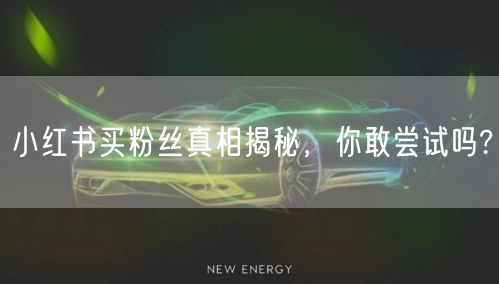 小红书买粉丝真相揭秘,你敢尝试吗?