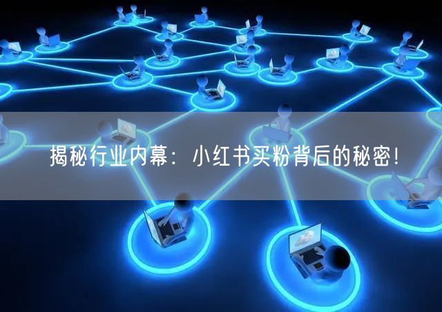 揭秘行业内幕:小红书买粉背后的秘密!