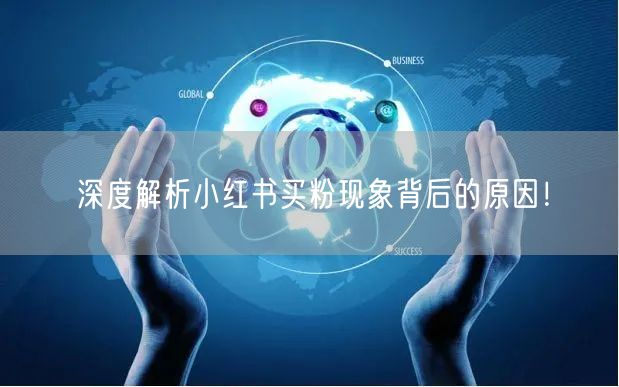 深度解析小红书买粉现象背后的原因!