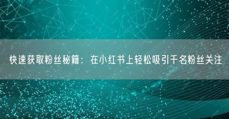 快速获取粉丝秘籍：在小红书上轻松吸引千名粉丝关注