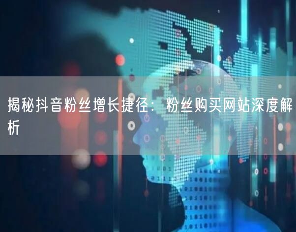 揭秘抖音粉丝增长捷径:粉丝购买网站深度解析