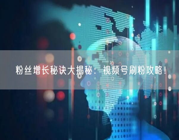 粉丝增长秘诀大揭秘：视频号刷粉攻略！