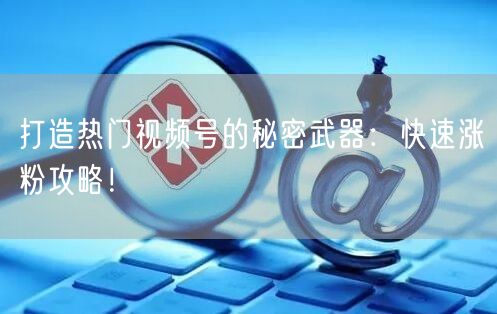打造热门视频号的秘密武器：快速涨粉攻略！