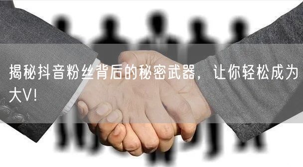 揭秘抖音粉丝背后的秘密武器，让你轻松成为大V！