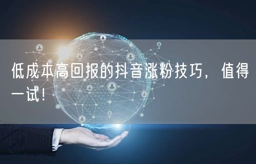 低成本高回报的抖音涨粉技巧，值得一试！