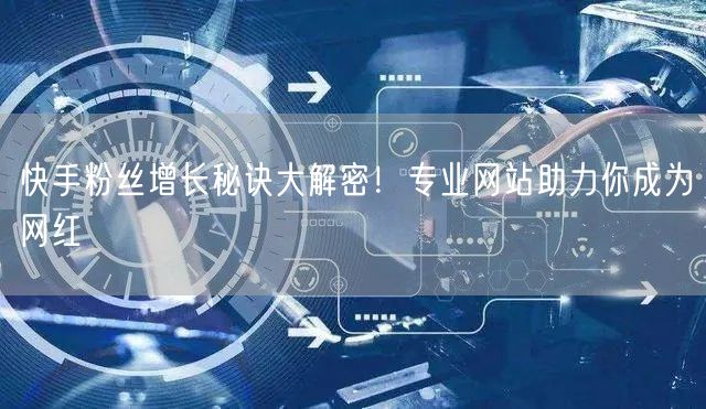 快手粉丝增长秘诀大解密！专业网站助力你成为网红