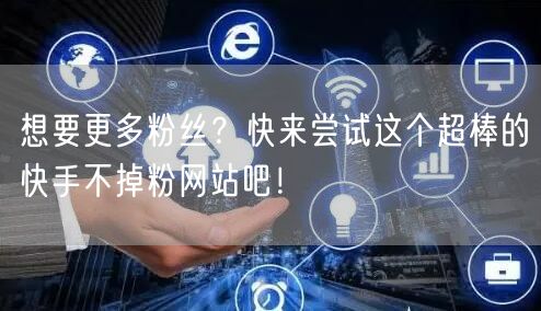 想要更多粉丝？快来尝试这个超棒的快手不掉粉网站吧！