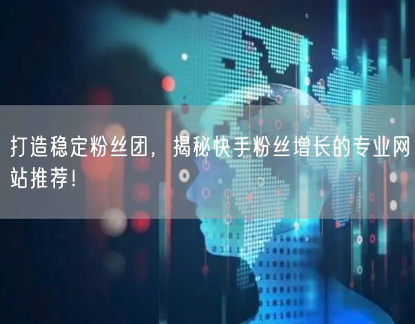 打造稳定粉丝团，揭秘快手粉丝增长的专业网站推荐！