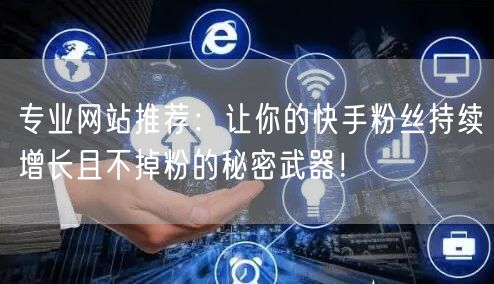 专业网站推荐：让你的快手粉丝持续增长且不掉粉的秘密武器！