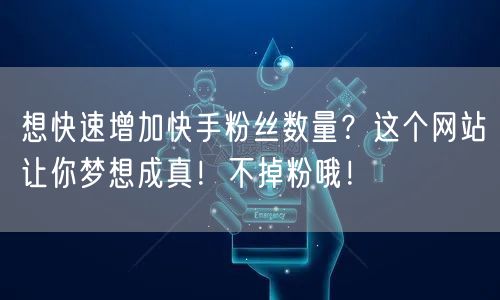 想快速增加快手粉丝数量？这个网站让你梦想成真！不掉粉哦！