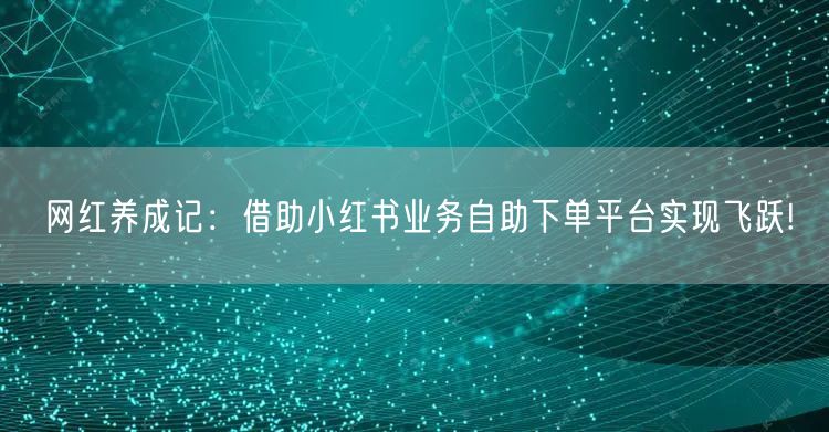 网红养成记:借助小红书业务自助下单平台实现飞跃!