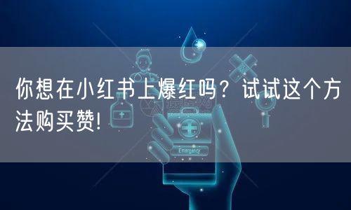 你想在小红书上爆红吗?试试这个方法购买赞!